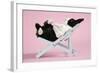 Dutch Rabbit in a Deckchair-null-Framed Photographic Print