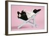 Dutch Rabbit in a Deckchair-null-Framed Photographic Print