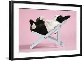 Dutch Rabbit in a Deckchair-null-Framed Photographic Print