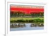 Dutch Red Tulips Fields in Lisse near Spring Garden 'Keukenhof', Holland-dzain-Framed Photographic Print