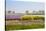 Dutch Spring Flowers Field-neirfy-Stretched Canvas