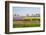 Dutch Spring Flowers Field-neirfy-Framed Photographic Print