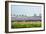 Dutch Spring Hyacinth Flowers Field-neirfy-Framed Photographic Print