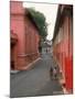 Dutch Style Buildings, Thick-Walled and Various Hues of Salmon Pink Stucco, Malacca, Malaysia-Carl Mydans-Mounted Photographic Print