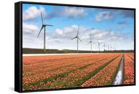 Dutch Tulip Field after A Heavy Rain Shower-kruwt-Framed Stretched Canvas