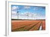 Dutch Tulip Field after A Heavy Rain Shower-kruwt-Framed Photographic Print