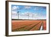 Dutch Tulip Field after A Heavy Rain Shower-kruwt-Framed Photographic Print