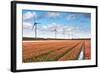 Dutch Tulip Field after A Heavy Rain Shower-kruwt-Framed Photographic Print