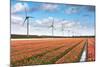 Dutch Tulip Field after A Heavy Rain Shower-kruwt-Mounted Photographic Print