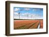 Dutch Tulip Field after A Heavy Rain Shower-kruwt-Framed Photographic Print