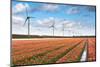 Dutch Tulip Field after A Heavy Rain Shower-kruwt-Mounted Photographic Print