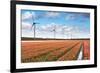 Dutch Tulip Field after A Heavy Rain Shower-kruwt-Framed Photographic Print