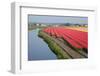 Dutch Tulip Fields in Springtime-picturepartners-Framed Photographic Print