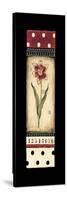 Dutch Tulips II-Kimberly Poloson-Stretched Canvas