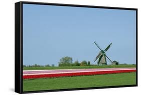 Dutch Tulips in the Spring.-Mauvries-Framed Stretched Canvas