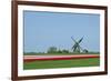 Dutch Tulips in the Spring.-Mauvries-Framed Photographic Print
