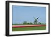 Dutch Tulips in the Spring.-Mauvries-Framed Photographic Print