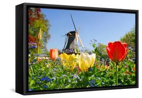 Dutch Windmill and Colorful Tulips and Forget-Me-Not Flowers in Famous Spring Garden 'Keukenhof', H-dzain-Framed Stretched Canvas