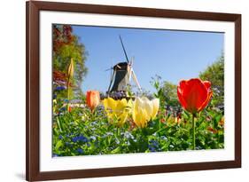 Dutch Windmill and Colorful Tulips and Forget-Me-Not Flowers in Famous Spring Garden 'Keukenhof', H-dzain-Framed Photographic Print