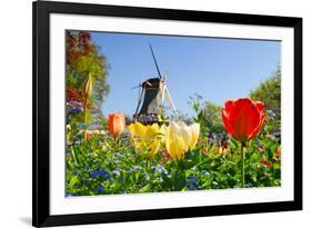 Dutch Windmill and Colorful Tulips and Forget-Me-Not Flowers in Famous Spring Garden 'Keukenhof', H-dzain-Framed Photographic Print