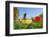 Dutch Windmill and Colorful Tulips and Forget-Me-Not Flowers in Famous Spring Garden 'Keukenhof', H-dzain-Framed Photographic Print