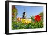 Dutch Windmill and Colorful Tulips and Forget-Me-Not Flowers in Famous Spring Garden 'Keukenhof', H-dzain-Framed Photographic Print