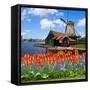 Dutch Windmill of Zaanse Schans-neirfy-Framed Stretched Canvas