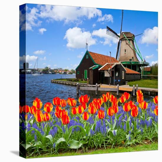 Dutch Windmill of Zaanse Schans-neirfy-Stretched Canvas