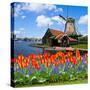 Dutch Windmill of Zaanse Schans-neirfy-Stretched Canvas