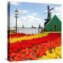 Dutch Windmill of Zaanse Schans-neirfy-Stretched Canvas