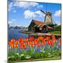 Dutch Windmill of Zaanse Schans-neirfy-Mounted Photographic Print