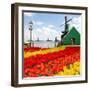 Dutch Windmill of Zaanse Schans-neirfy-Framed Photographic Print