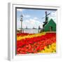 Dutch Windmill of Zaanse Schans-neirfy-Framed Photographic Print