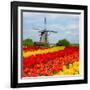 Dutch Windmill over Tulips Field-neirfy-Framed Photographic Print