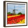 Dutch Windmill over Tulips Field-neirfy-Framed Photographic Print