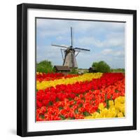 Dutch Windmill over Tulips Field-neirfy-Framed Photographic Print