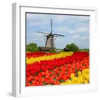 Dutch Windmill over Tulips Field-neirfy-Framed Photographic Print