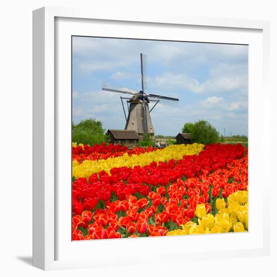 Dutch Windmill over Tulips Field-neirfy-Framed Photographic Print