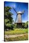 Dutch Windmill With Blooming Tulips-George Oze-Stretched Canvas