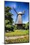 Dutch Windmill With Blooming Tulips-George Oze-Mounted Photographic Print