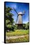 Dutch Windmill With Blooming Tulips-George Oze-Framed Stretched Canvas