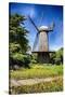 Dutch Windmill With Blooming Tulips-George Oze-Stretched Canvas