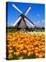 Dutch Windmills and Tulips-Jeni Foto-Stretched Canvas