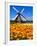 Dutch Windmills and Tulips-Jeni Foto-Framed Photographic Print