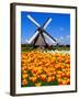 Dutch Windmills and Tulips-Jeni Foto-Framed Photographic Print