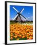 Dutch Windmills and Tulips-Jeni Foto-Framed Photographic Print