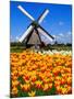 Dutch Windmills and Tulips-Jeni Foto-Mounted Photographic Print