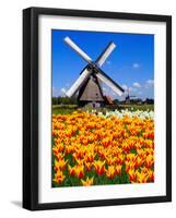 Dutch Windmills and Tulips-Jeni Foto-Framed Photographic Print