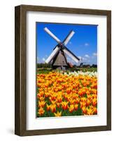 Dutch Windmills and Tulips-Jeni Foto-Framed Photographic Print