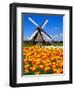 Dutch Windmills and Tulips-Jeni Foto-Framed Photographic Print